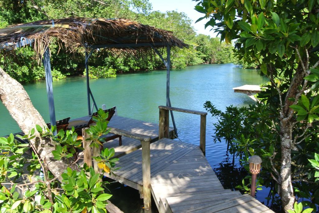 Salt Lake Lodge Savusavu Bilik gambar