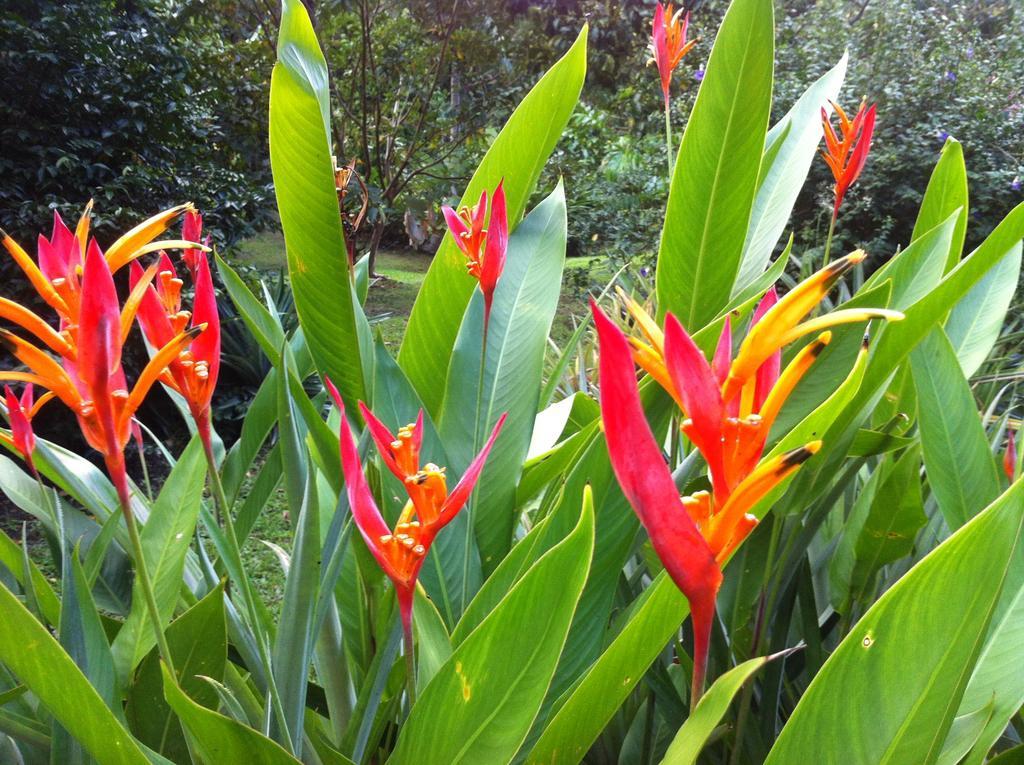 Salt Lake Lodge Savusavu Luaran gambar