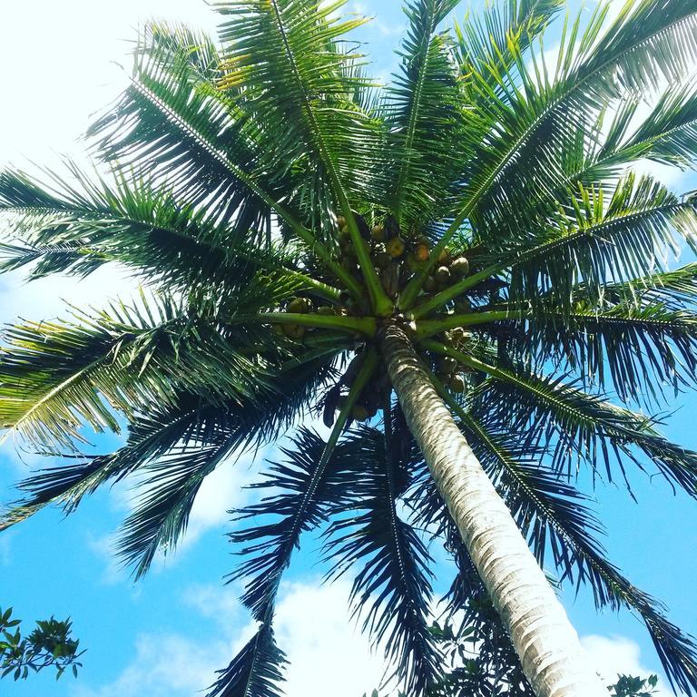 Salt Lake Lodge Savusavu Luaran gambar